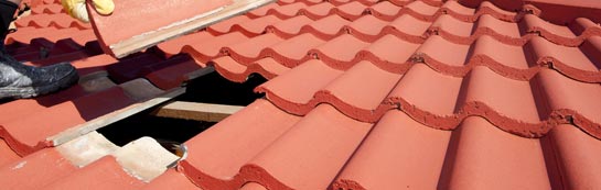 compare Ty Sign roof repair quotes